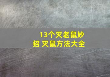 13个灭老鼠妙招 灭鼠方法大全